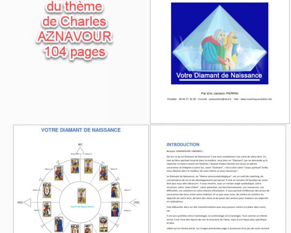 DN_Pro_AnalyseDuTheme03