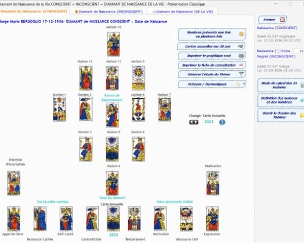 DiamantDeNaissanceDeVieProfessionnel_Conscient